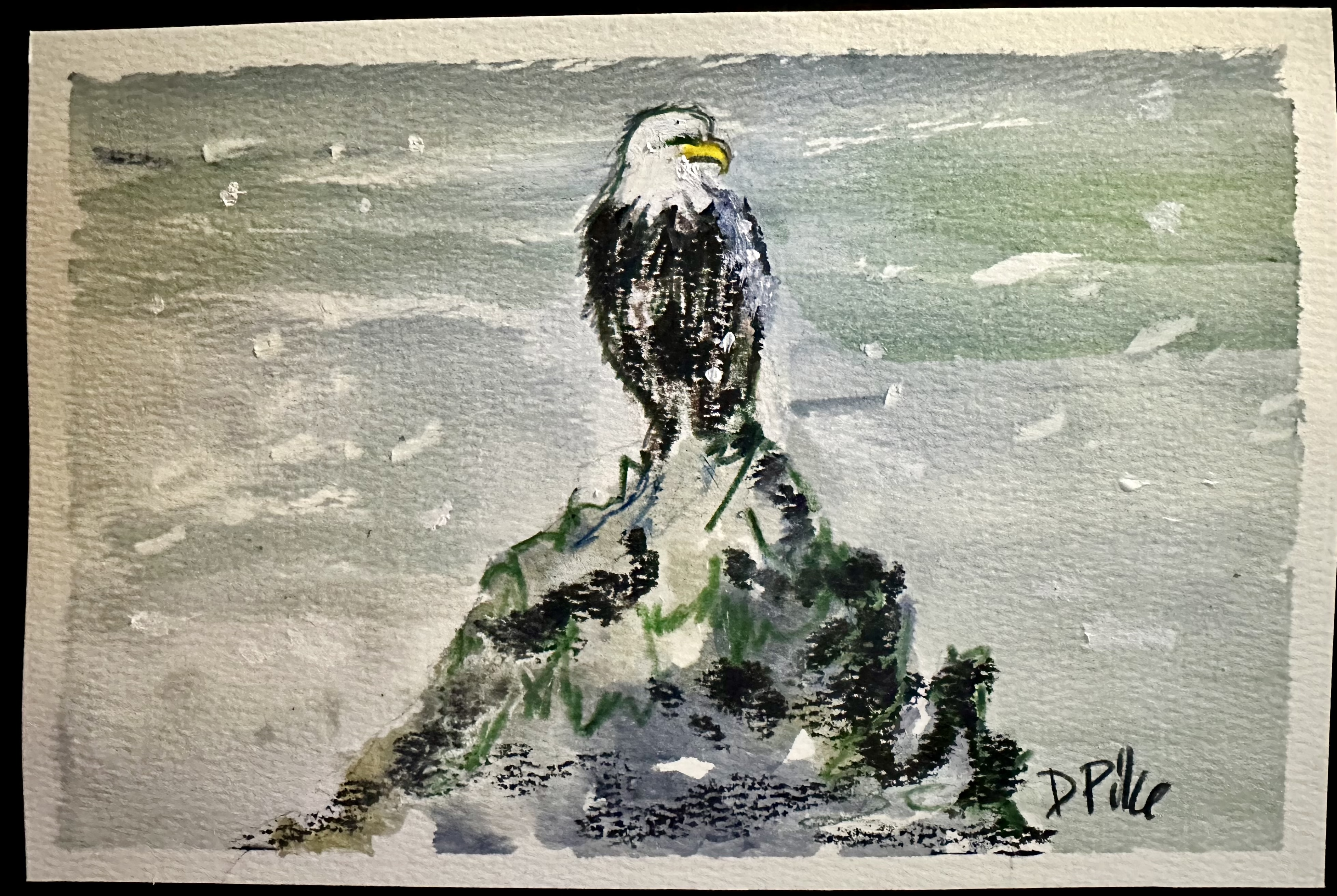 Eagle at Apex