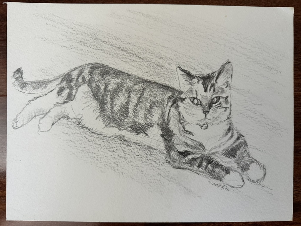 Tiger the Cat